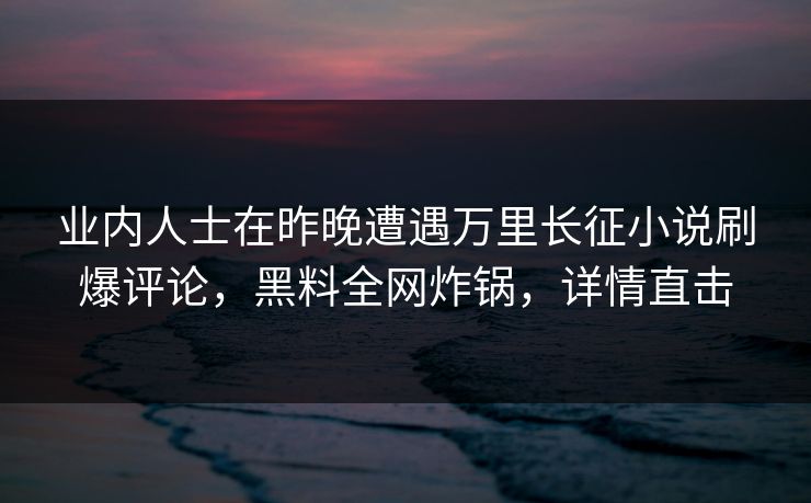 业内人士在昨晚遭遇万里长征小说刷爆评论，黑料全网炸锅，详情直击