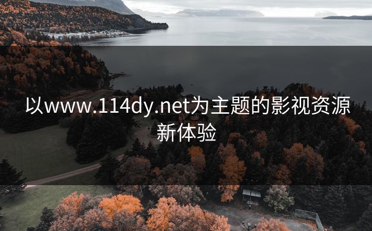 以www.114dy.net为主题的影视资源新体验