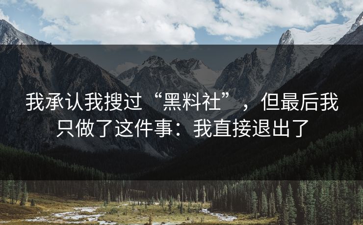 我承认我搜过“黑料社”，但最后我只做了这件事：我直接退出了